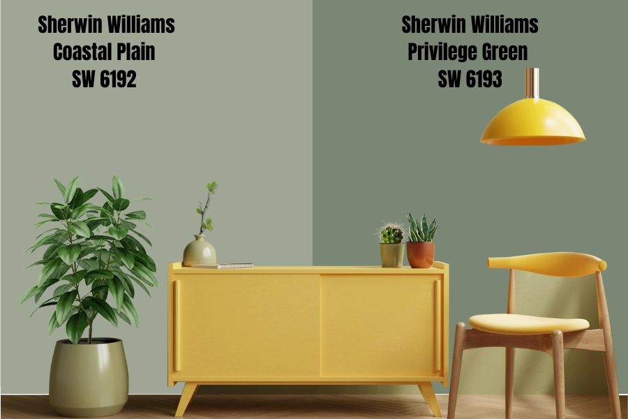 Sherwin Williams Coastal Plain vs Privilege Green SW 6193