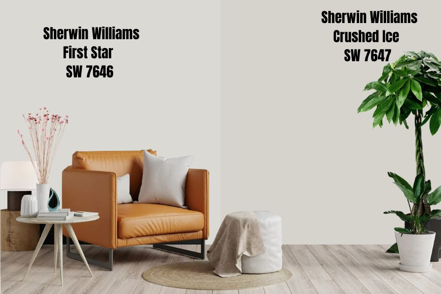 Sherwin Williams Crushed Ice SW 7647