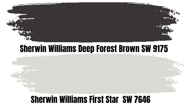 Sherwin Williams Deep Forest Brown SW 9175