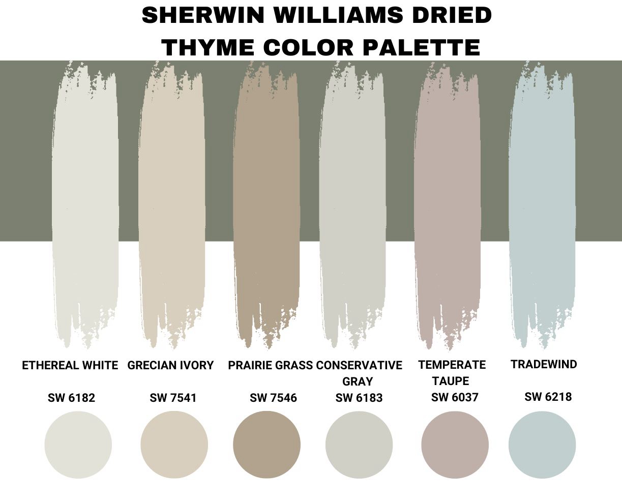 Sherwin Williams Dried Thyme Color Palette