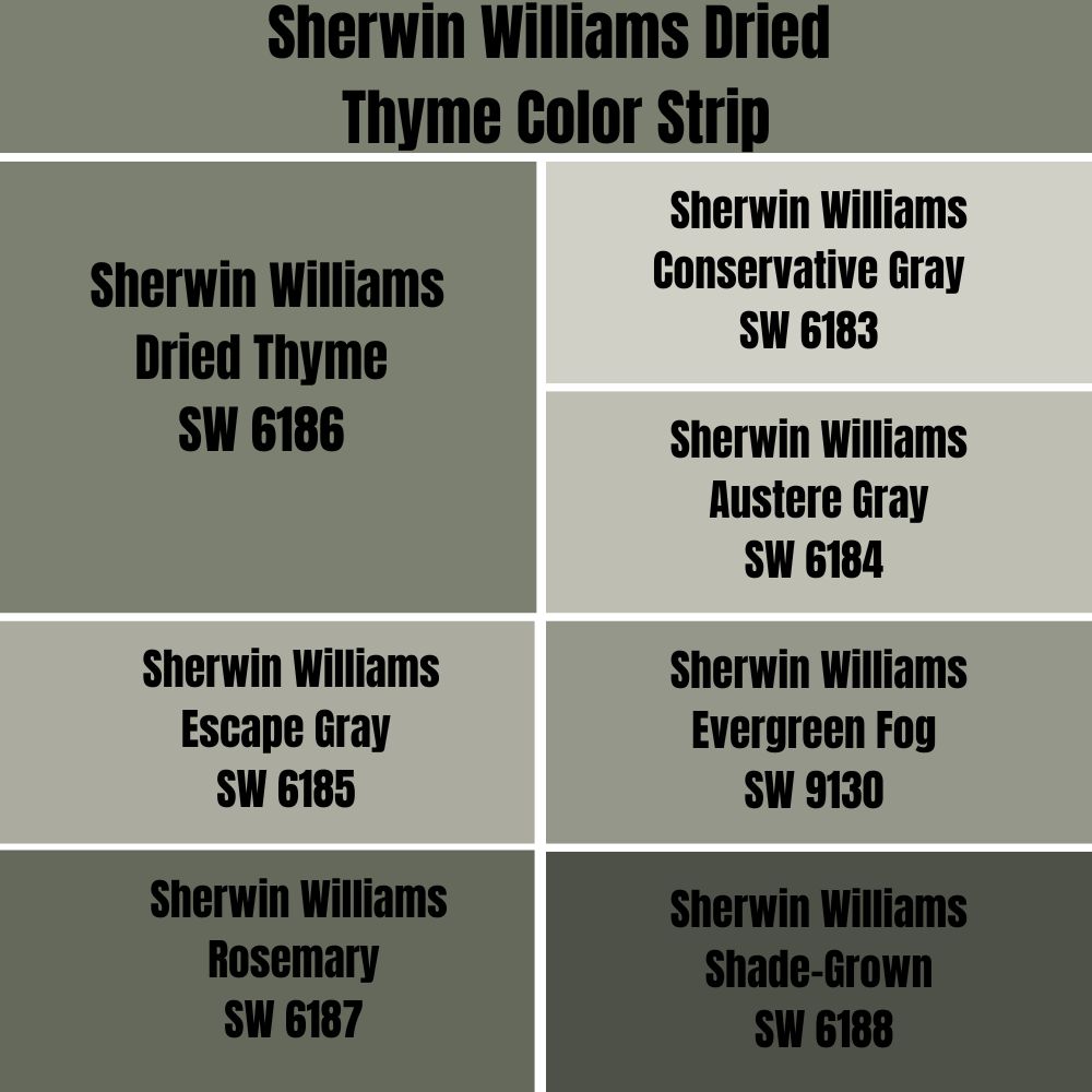 Sherwin Williams Dried Thyme Color Strip