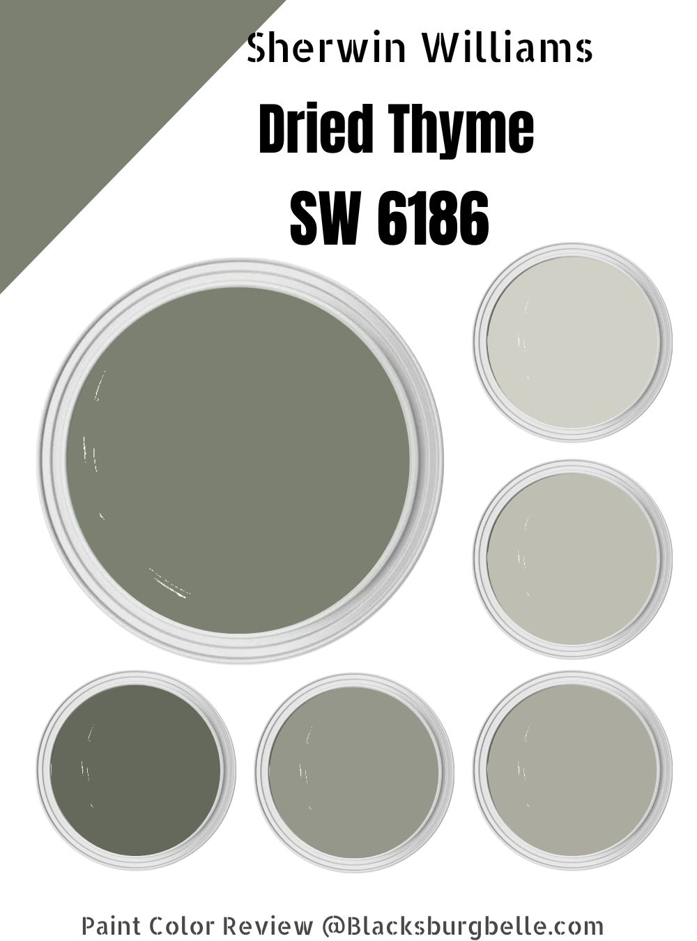 Sherwin Williams Dried Thyme SW 6186