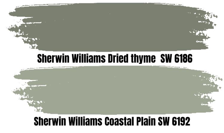 Sherwin Williams Dried thyme (SW 6186)