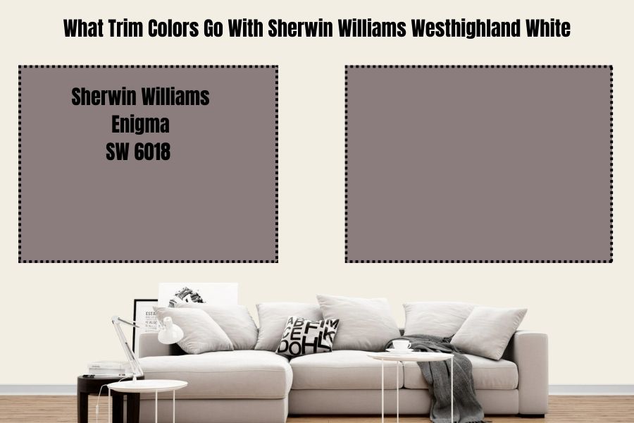 Sherwin Williams Enigma SW 6018