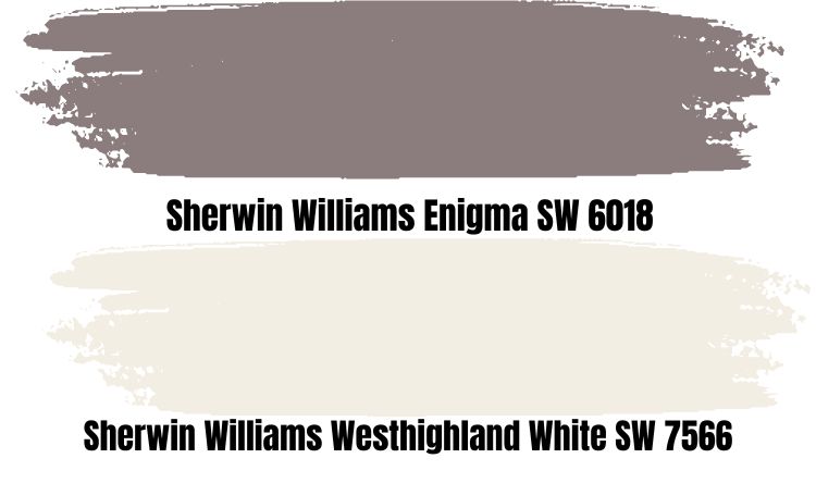 Sherwin Williams Enigma SW 6018