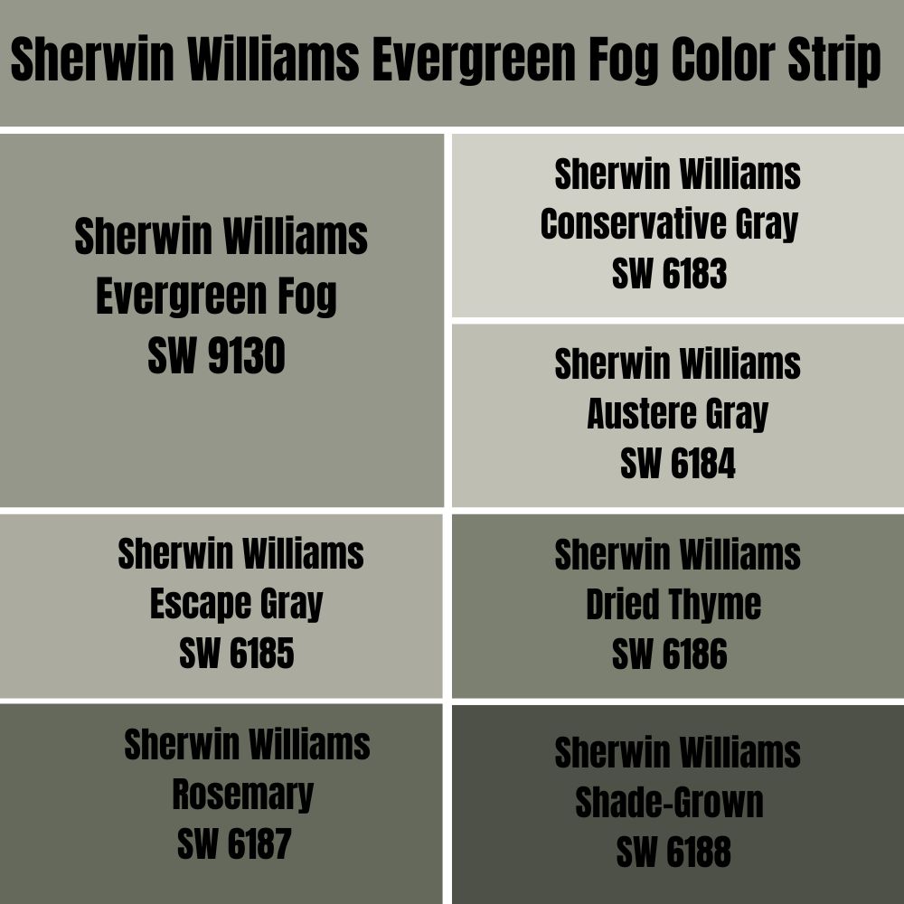 Sherwin Williams Evergreen Fog Color Strip