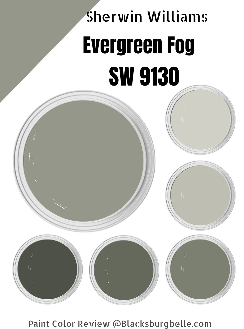 Sherwin Williams Evergreen Fog SW 9130