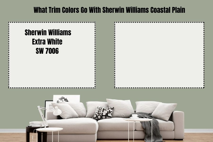 Sherwin Williams Extra White
