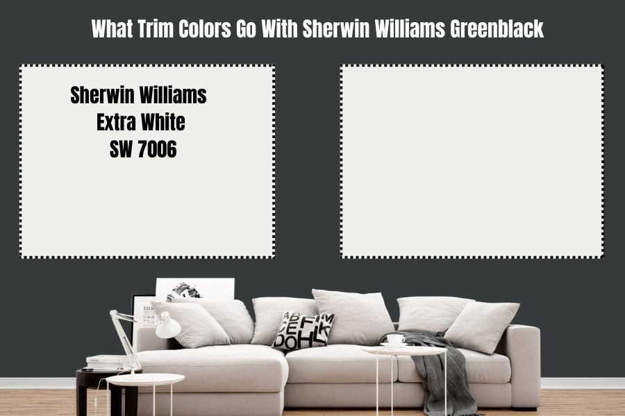 Sherwin Williams Extra White