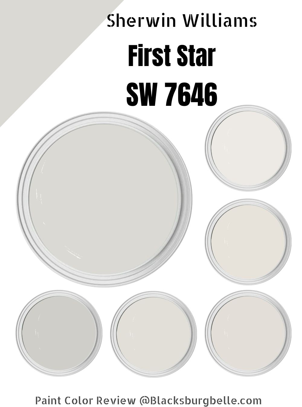 Sherwin Williams First Star SW 7646