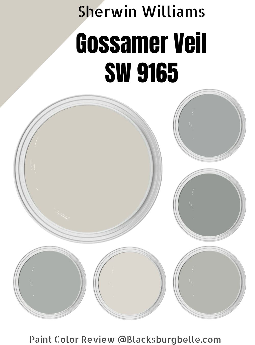 Sherwin Williams Gossamer Veil SW 9165