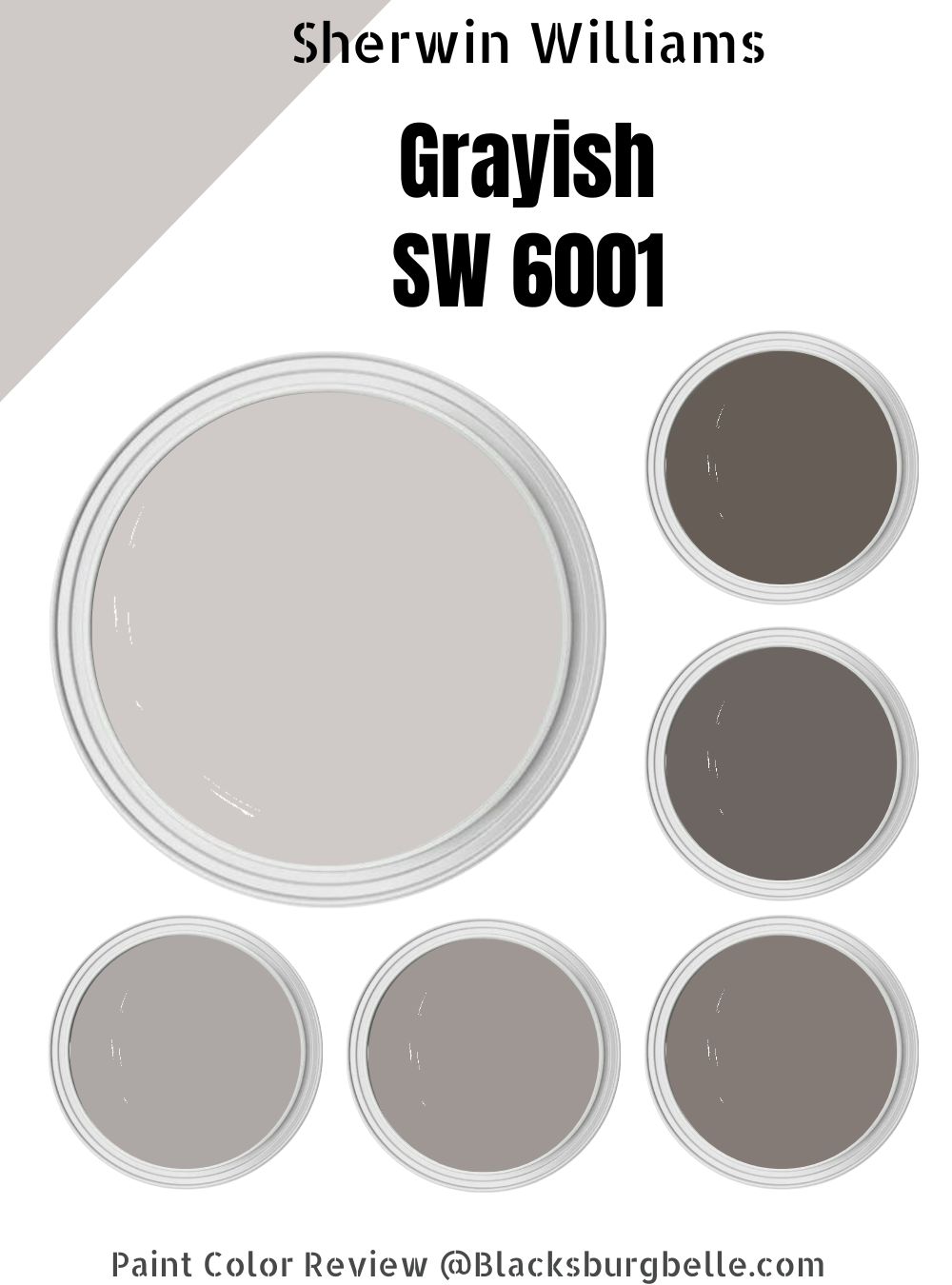 Sherwin Williams Grayish SW 6001