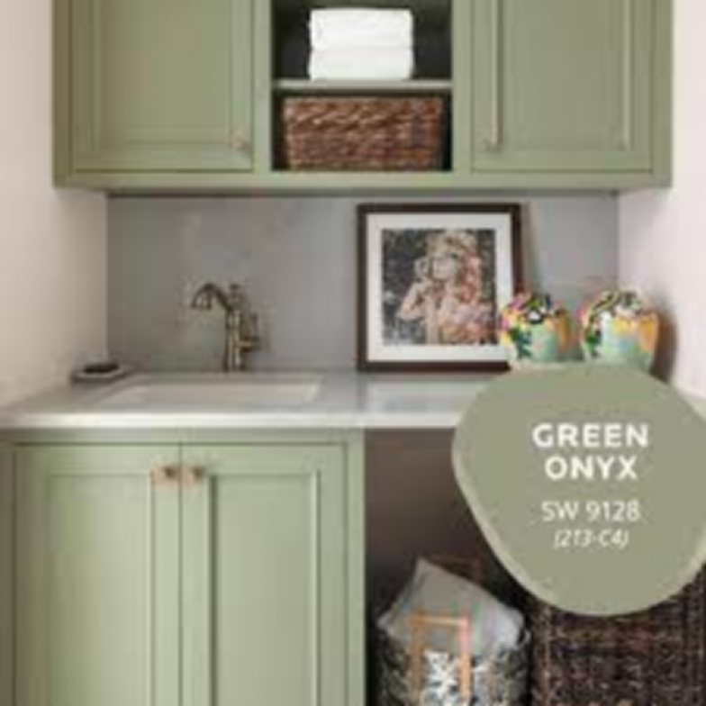 Sherwin-Williams Green Onyx (SW 9128)