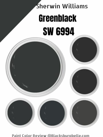 Sherwin Williams Greenblack (SW 6994) Paint Color Review