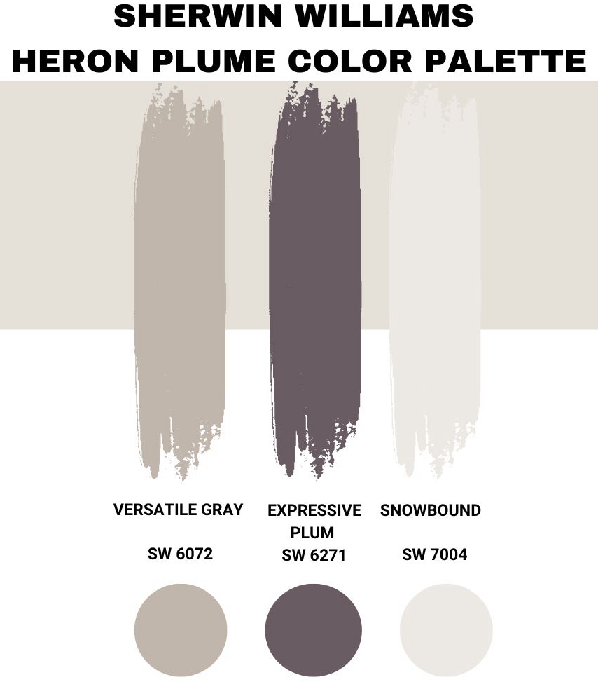 Sherwin Williams Heron Plume Color Palette