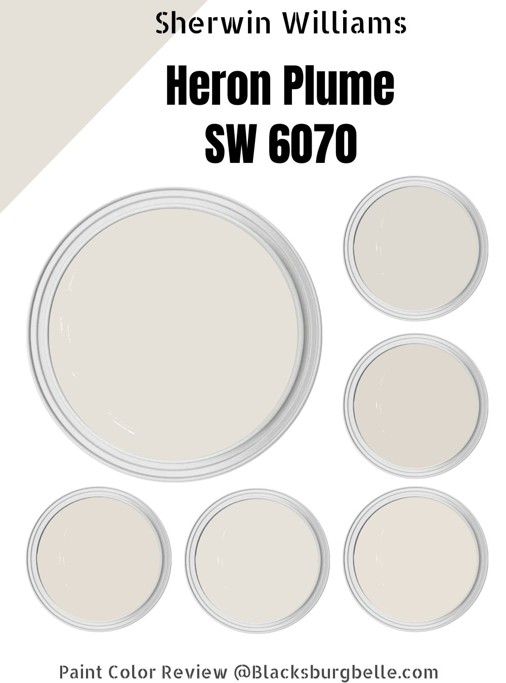 Sherwin Williams Heron Plume SW 6070