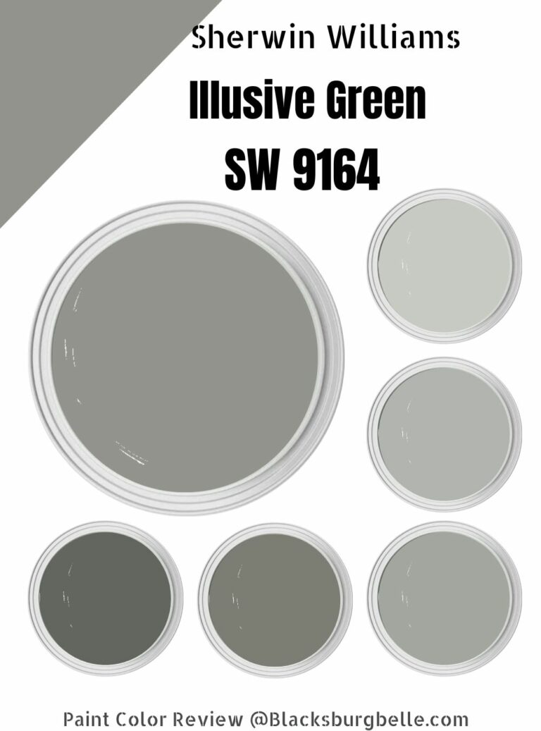 Sherwin Williams Illusive Green SW 9164