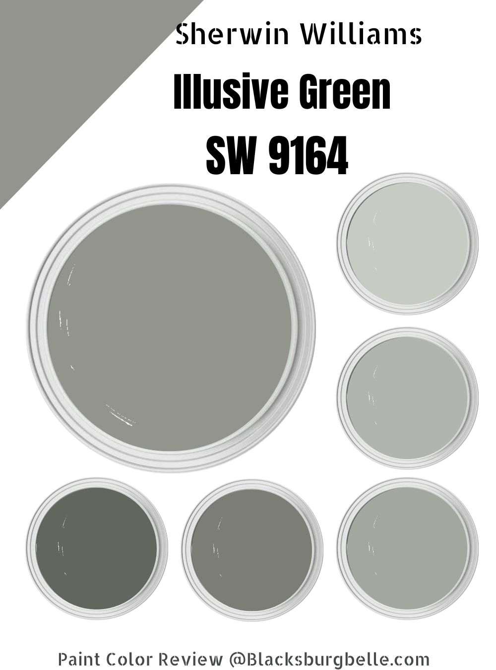 Sherwin Williams Illusive Green SW 9164 