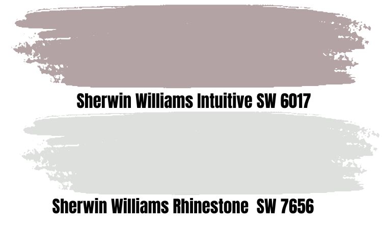 Sherwin Williams Intuitive SW 6017