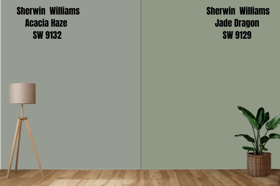 Sherwin Williams Jade Dragon SW 9129 