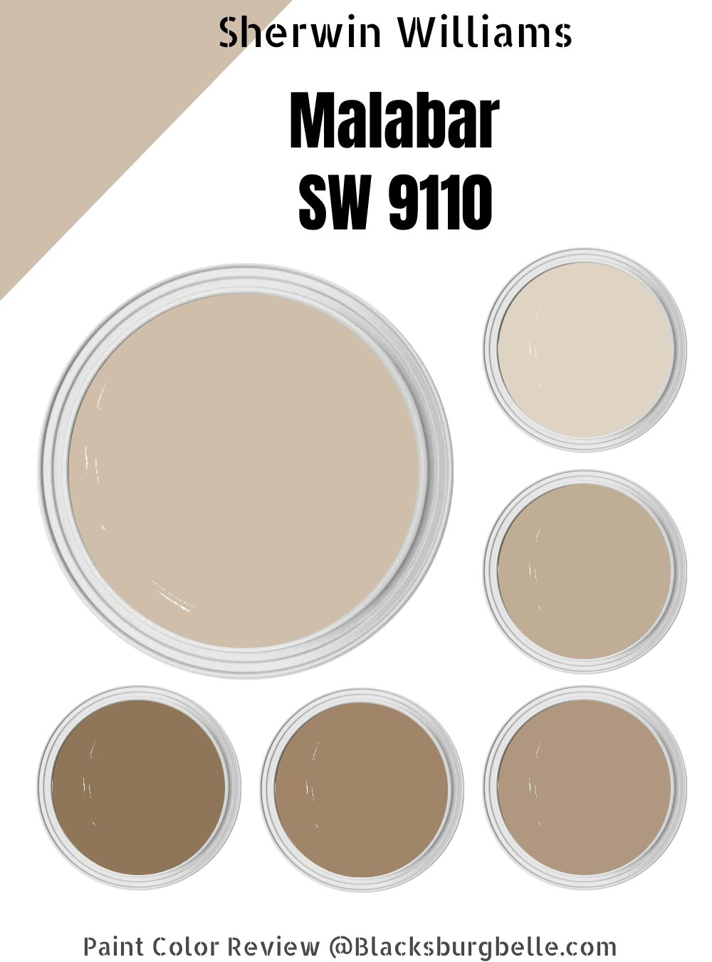 Sherwin Williams Malabar (SW 9110) Paint Color Review