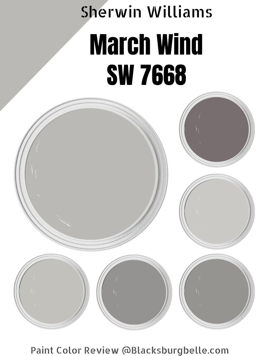 Sherwin Williams March Wind SW 7668