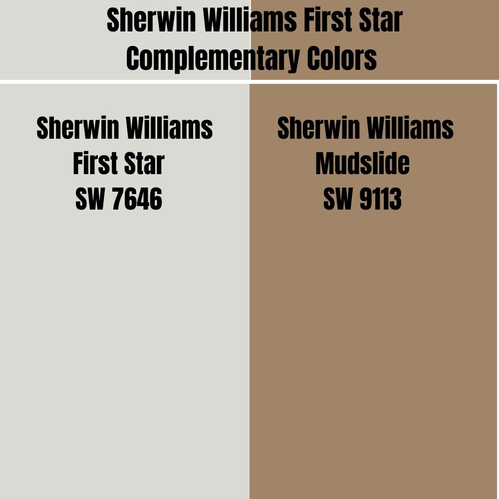 Sherwin Williams Mudslide SW 9113