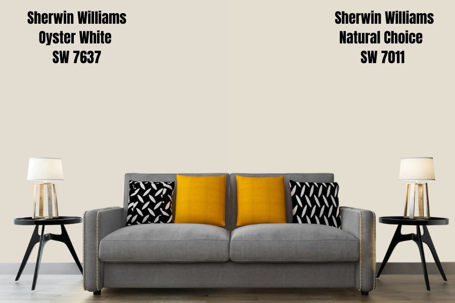 Sherwin-Williams Natural Choice 