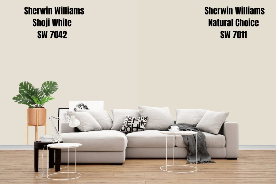 Sherwin Williams Natural Choice SW 7011