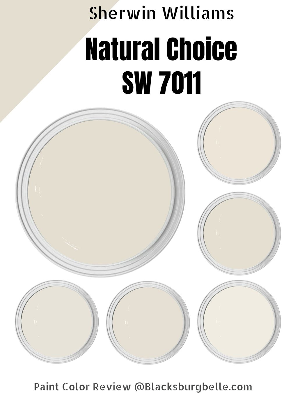 Sherwin Williams Natural Choice SW 7011