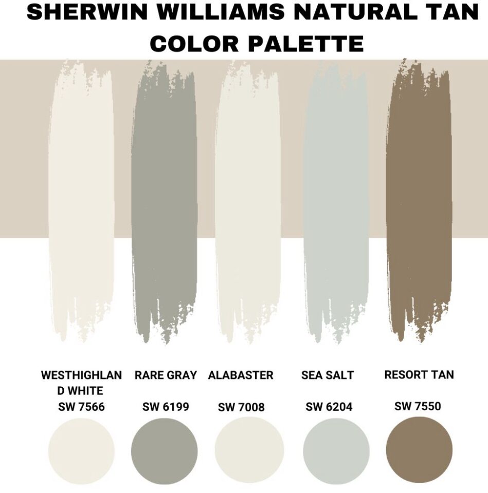 Sherwin Williams Natural Tan (Palette, Coordinating & Inspirations)