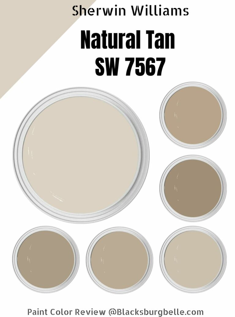 Sherwin Williams Natural Tan (Palette, Coordinating & Inspirations)