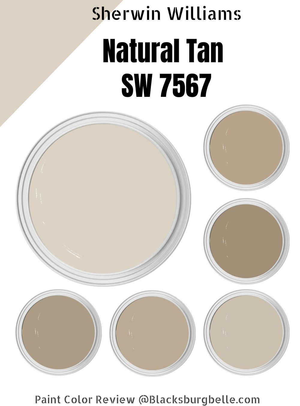 Sherwin Williams Natural Tan (SW 7567) Paint Color Review
