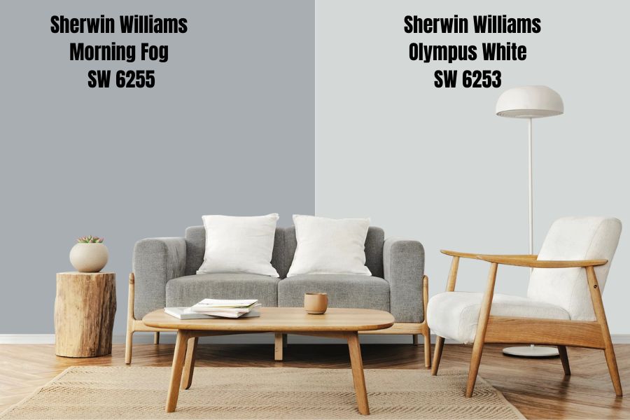 Sherwin Williams Olympus White SW 6253