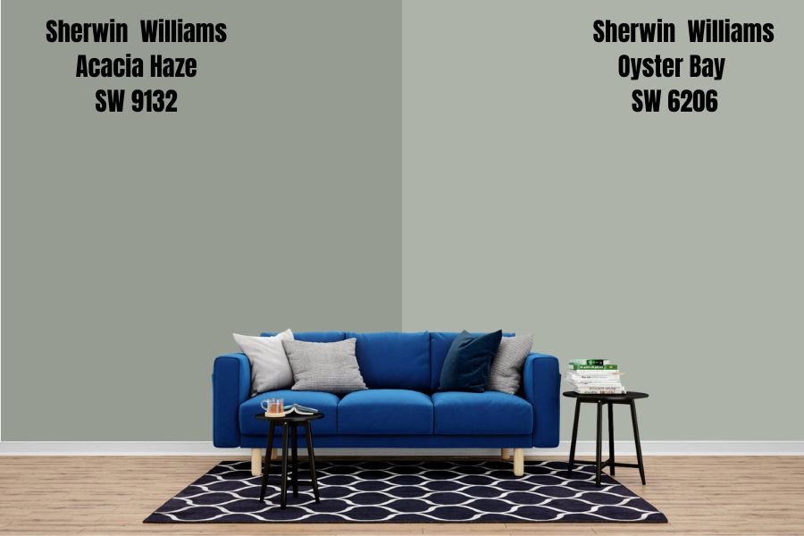 Sherwin Williams Oyster Bay SW 6206 