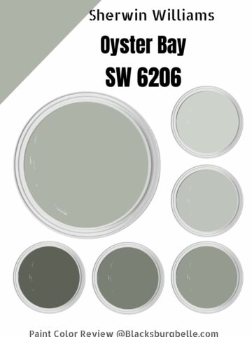 Sherwin Williams Oyster Bay (SW 6206) Paint Color Review