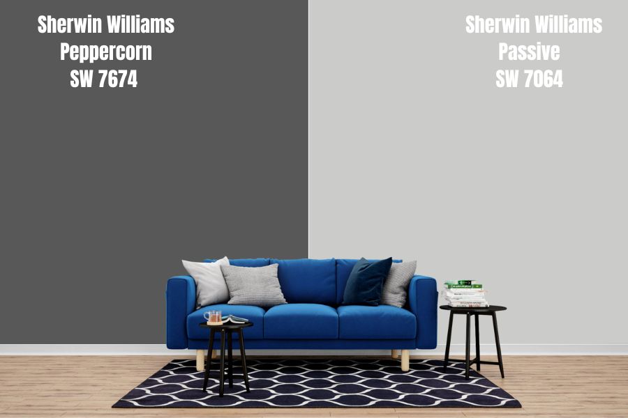 Sherwin Williams Passive (SW 7064)