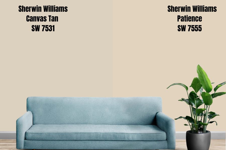 Sherwin Williams Patience SW 7555