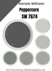 Sherwin Williams Peppercorn (SW 7674) Paint Color Review