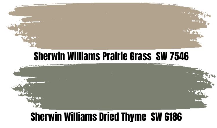 Sherwin Williams Prairie Grass SW 7546