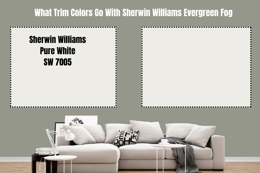 Sherwin Williams Pure White SW 7005