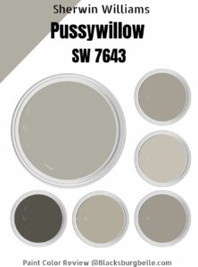 Sherwin-Williams Pussywillow (SW 7643) Paint Color Review