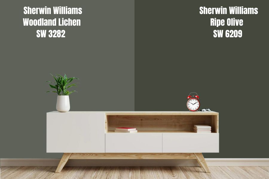 Sherwin Williams Ripe Olive SW 6209