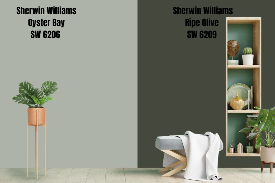 Sherwin Williams Ripe Olive (SW 6209)