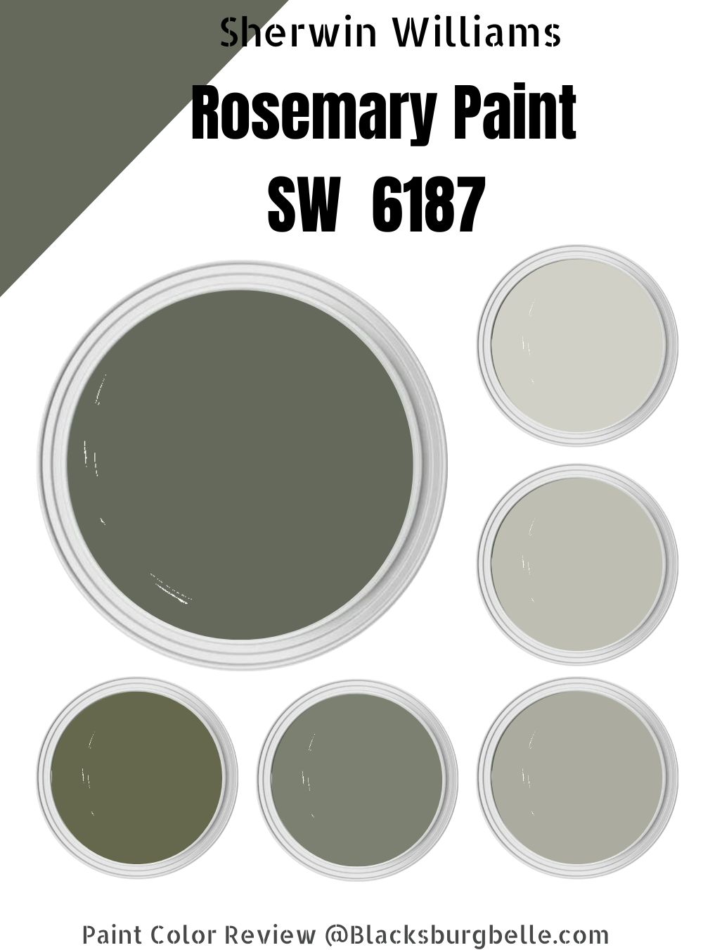 Sherwin Williams Rosemary Paint SW 6187