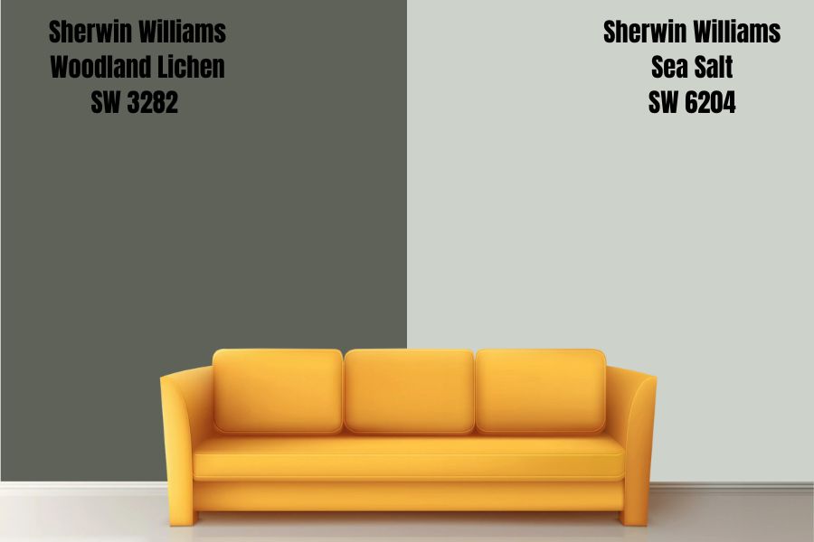 Sherwin Williams Sea Salt SW 6204