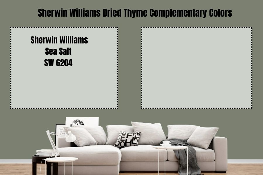 Sherwin Williams Sea Salt SW 6204