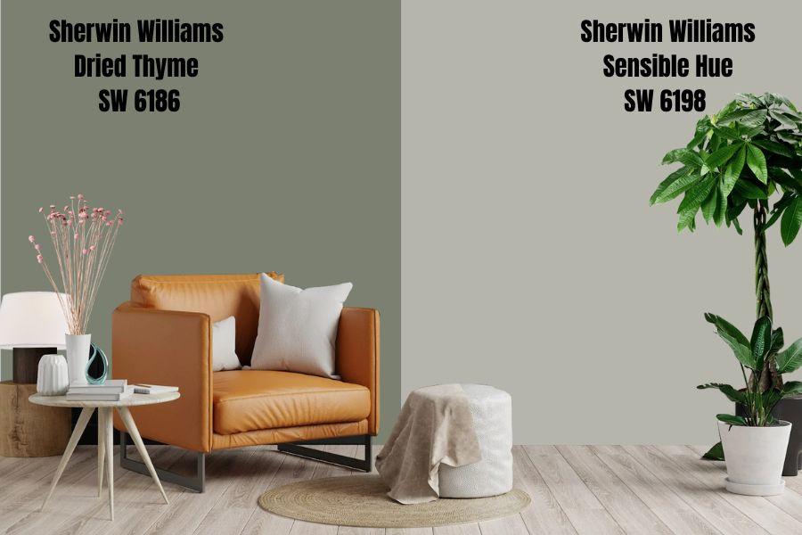 Sherwin Williams Sensible Hue SW 6198