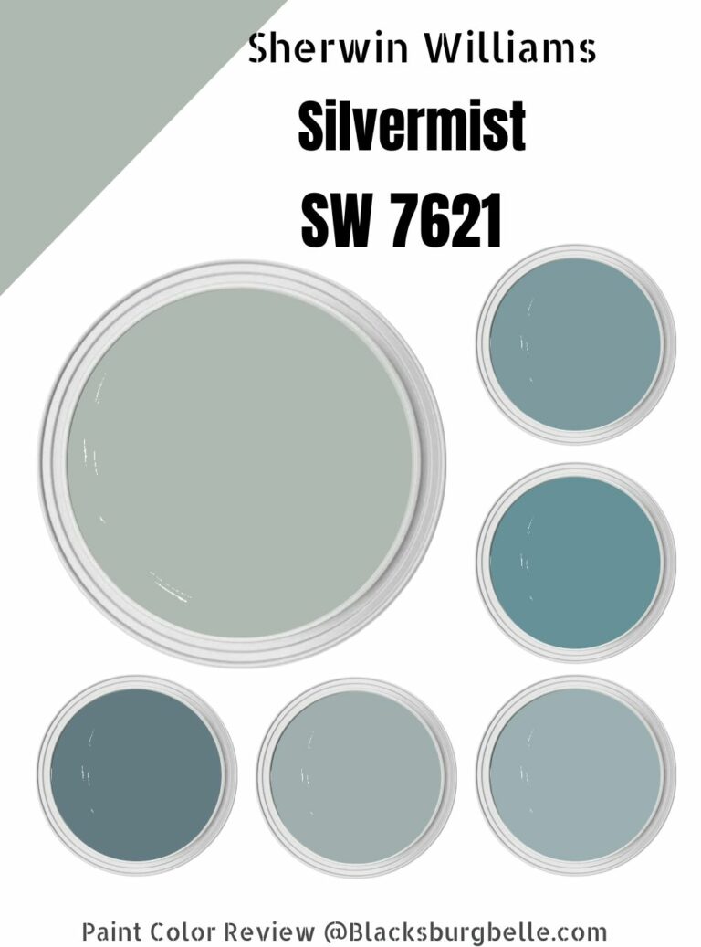 Sherwin Williams Silvermist (SW 7621) Paint Color Review