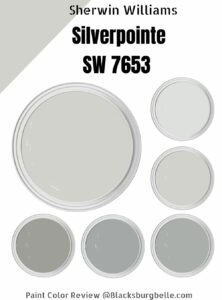 Sherwin-Williams Silverpointe Paint (SW 7653) Color Review & Pics